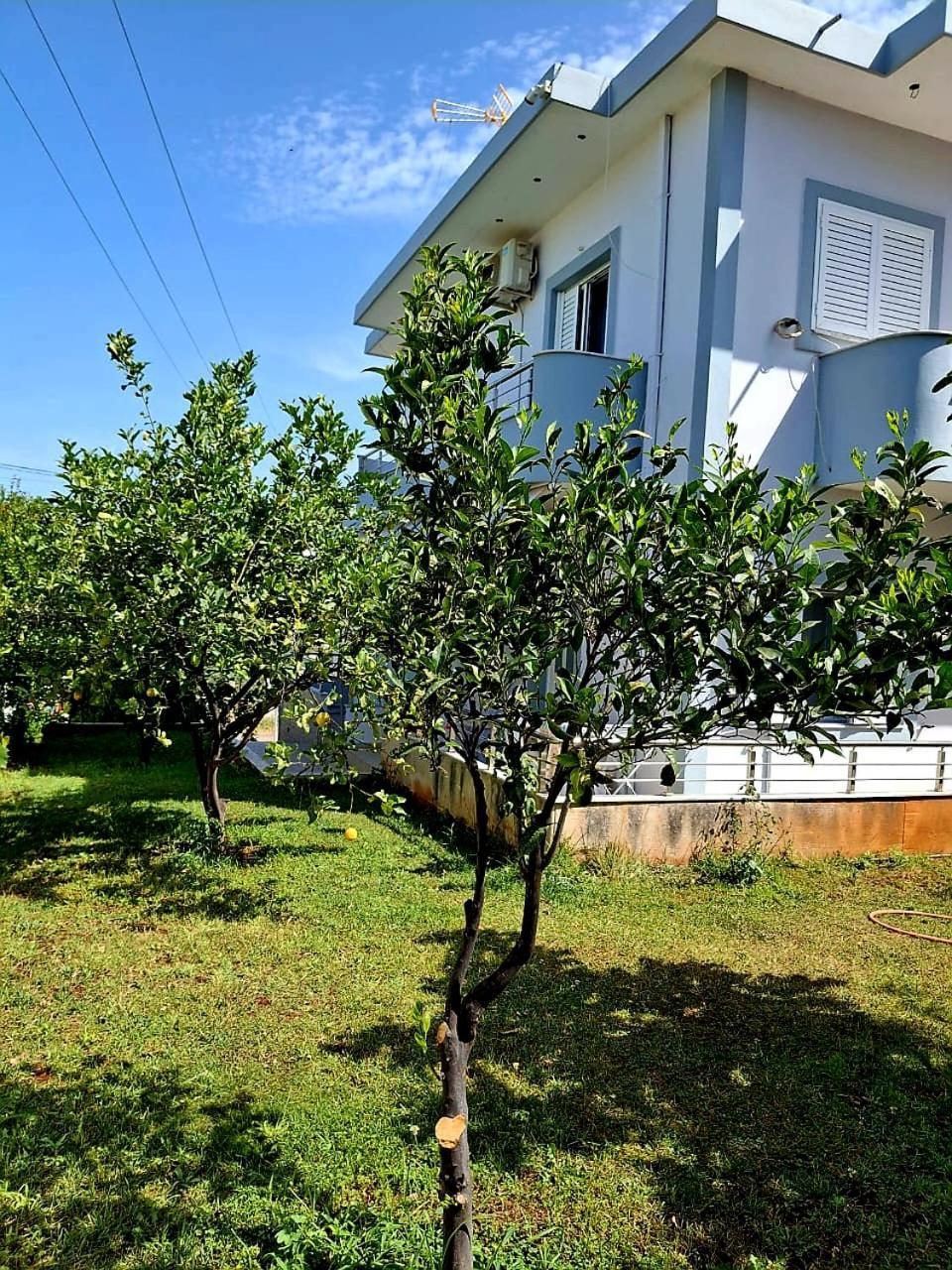 Myksamil Apartments Екстериор снимка