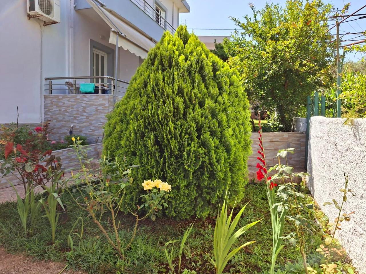 Myksamil Apartments Екстериор снимка